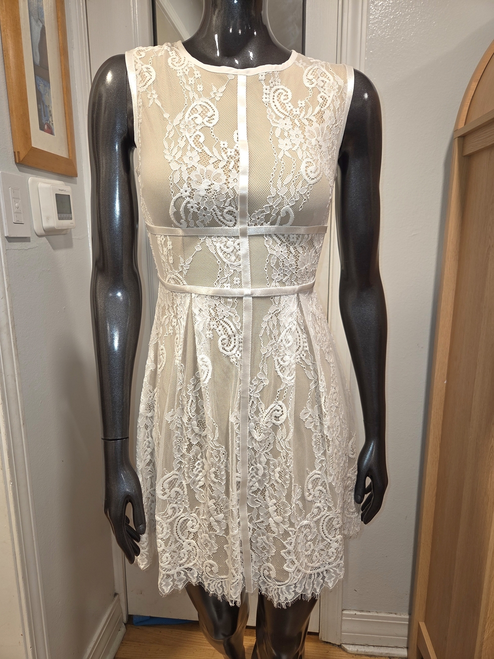 Banjul Stuning Ivory Lace Mini Dress with Sheer Panels Sz S